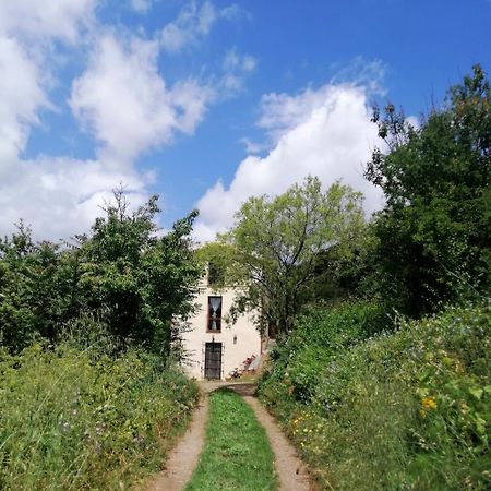 La Peonia Casa Vacanze In Montagna Prato Verde Panorama Stupendo Sardegna Seùlo 外观 照片