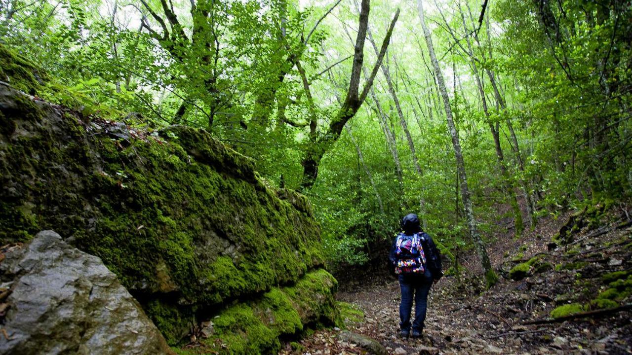 La Peonia Casa Vacanze In Montagna Prato Verde Panorama Stupendo Sardegna Seùlo 外观 照片