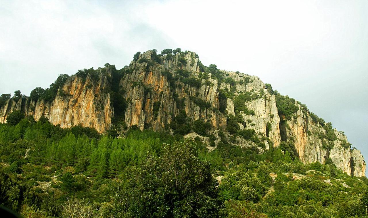La Peonia Casa Vacanze In Montagna Prato Verde Panorama Stupendo Sardegna Seùlo 外观 照片